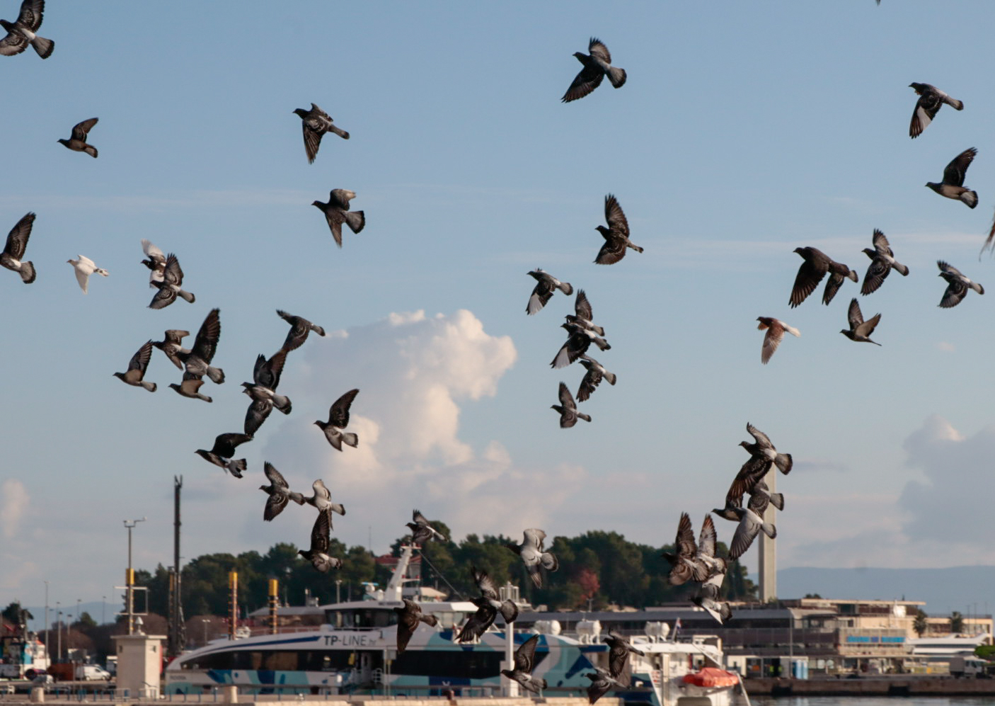 Nature photography from Bosnia and Herzegovina