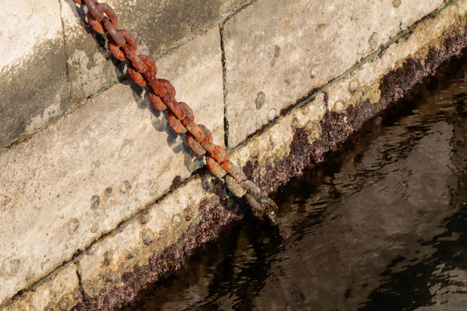 Videography and photo storytelling